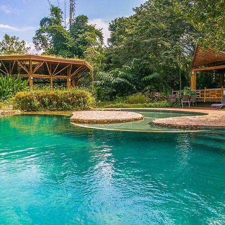 Banana Bamboo Ecolodge Ubatuba Kültér fotó