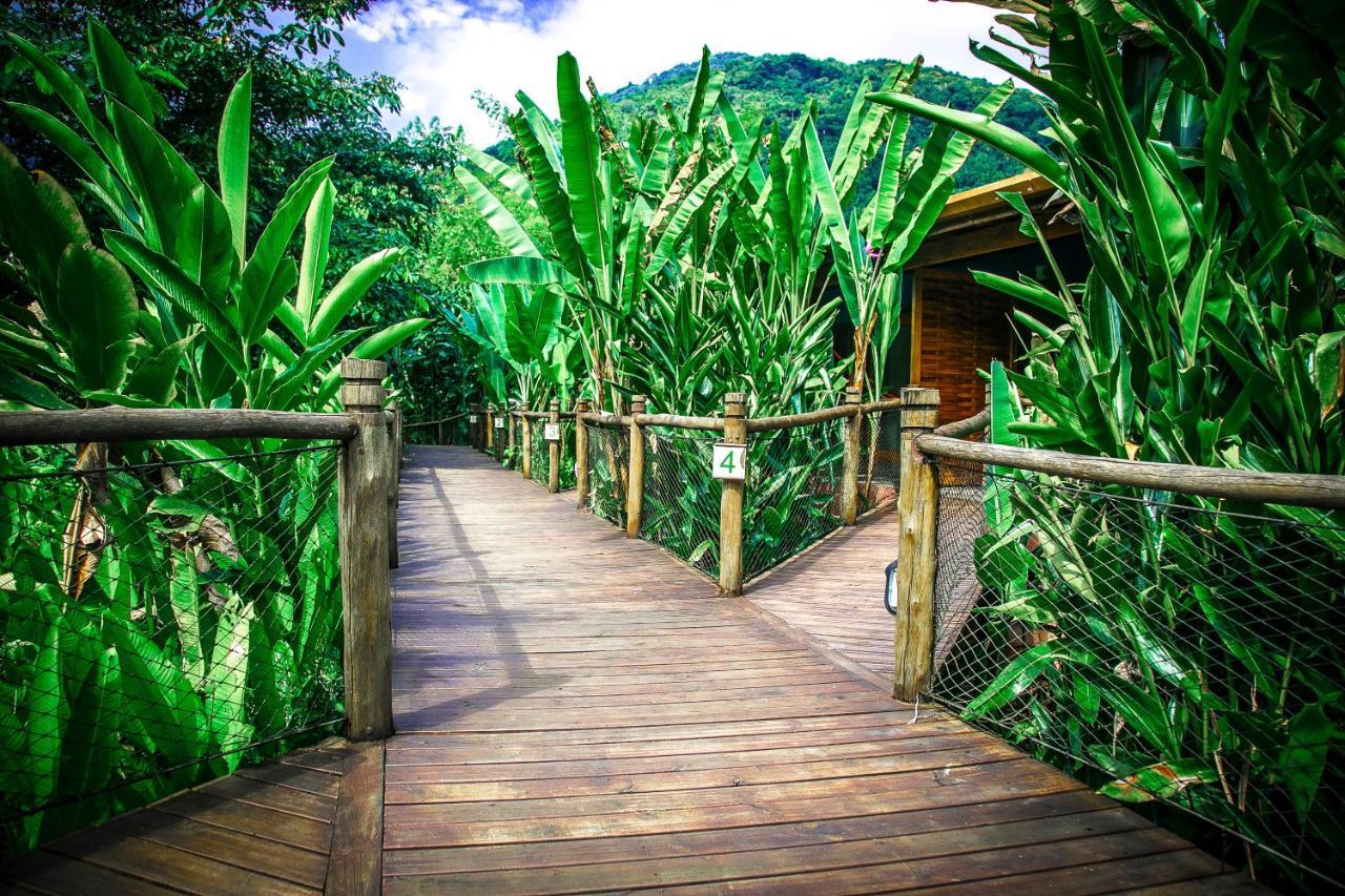 Banana Bamboo Ecolodge Ubatuba Kültér fotó